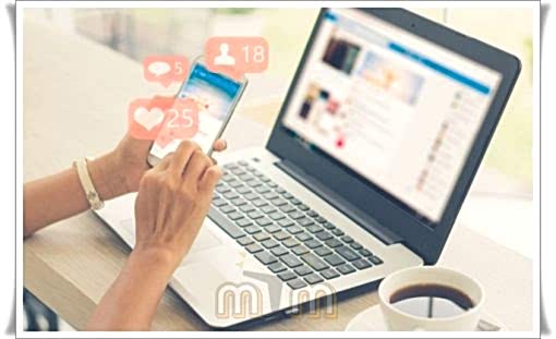  Diğer müşterilerin firma hakkında yapmış olduğu yorumlara göz atmak