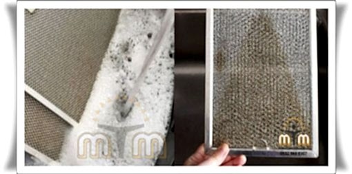  Filtre temizliği yapılmadığı takdirde ısıdan dolayı yumuşayan yağ motor çekim gücü sayesinde filtredeki yağları çekecektir, buda motorun yağ kaplamasına ve yapışkan hal alıp motorun zor dönmesine neden olacaktır. Bu şekilde kullanmaya devam ederseniz yapışkan yağla kaplanan motor, zorlanacağından dolayı durup çalışamaz hale gelecektir. Aspiratörünüzü daha uzun yıllar kullanmak istiyorsanız temizliğine ve bakımına özen göstermelisiniz.